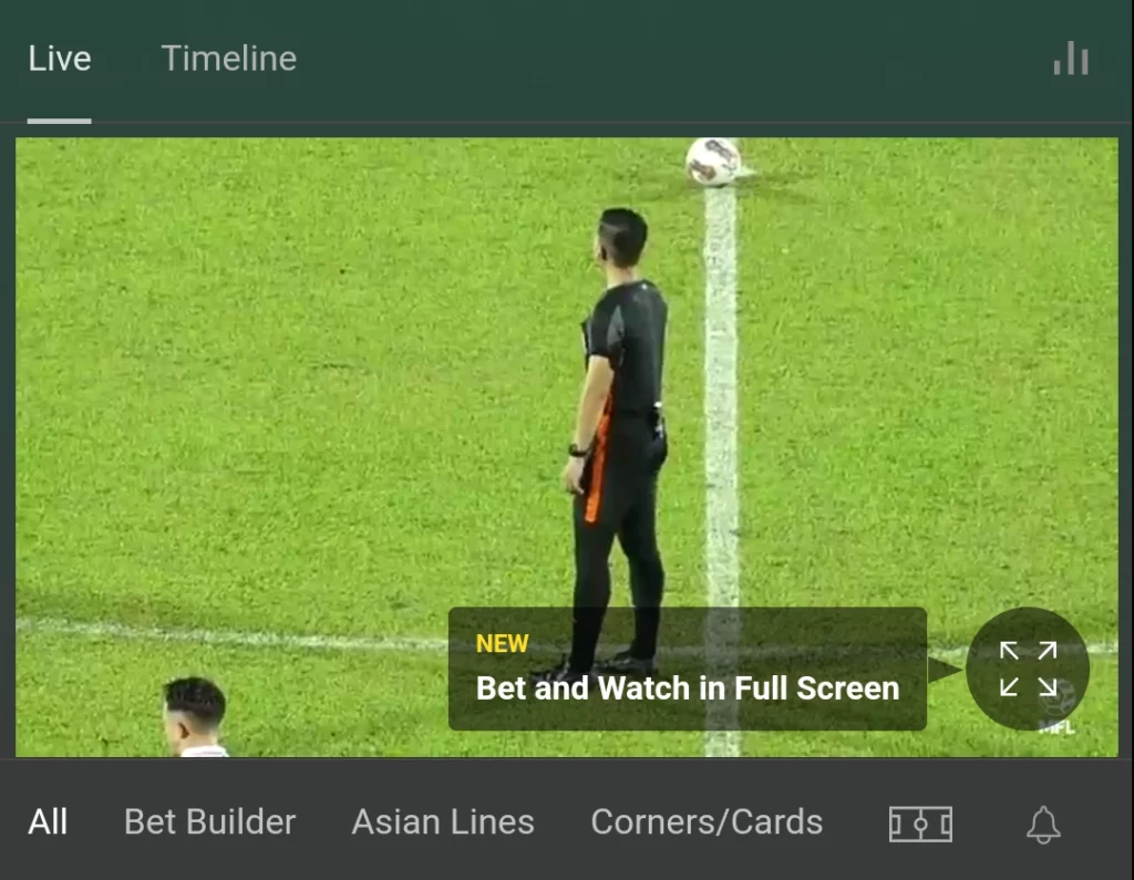 New Full Screen Live Stream Feature on Bet365